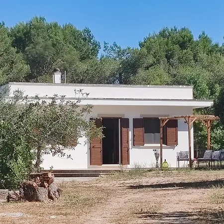 Petra Villa *